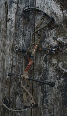 Las mejores arco caza hoyt