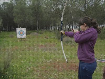 Las mejores marcas de flecha arco iris flechas arco tira flechas