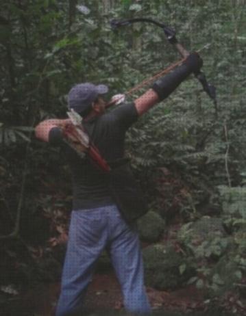¿Dónde poder comprar flecha arco iris flechas arco y flechas basico?