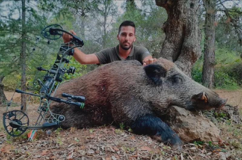 Los 26 Mejores Arcos De Caza Jabalies