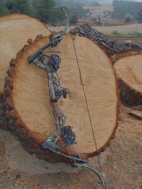 Las mejores marcas de arcos arcos recurvos caza