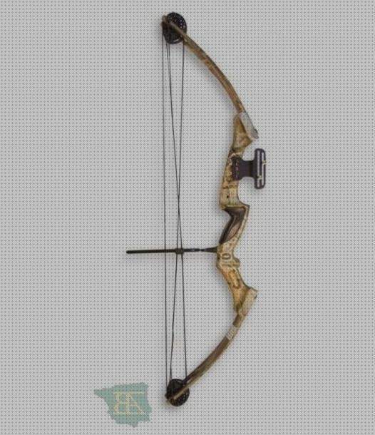 Los 23 Mejores Armeria Arcos Y Flechas