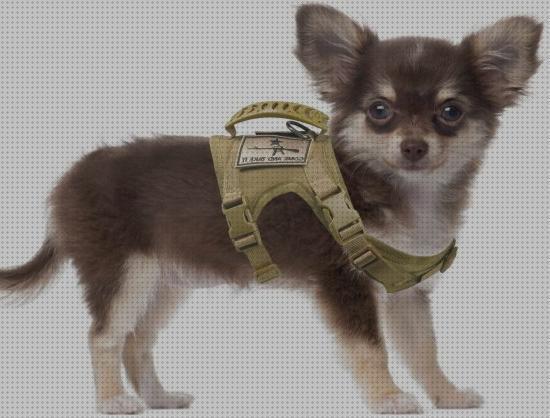 ¿Dónde poder comprar arnes pistola arnes tactico militar perro?