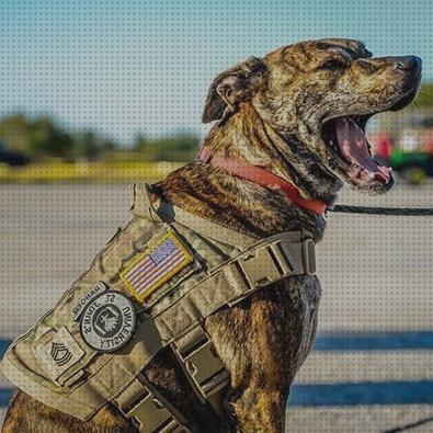 Review de arnes tactico militar perro