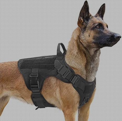 Los mejores 9 Arneses Tactico Militares Para Perros