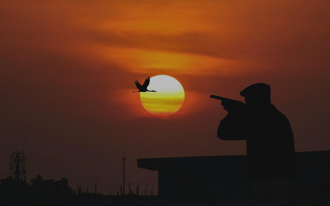 Las mejores marcas de balas bala escopeta calibre 20