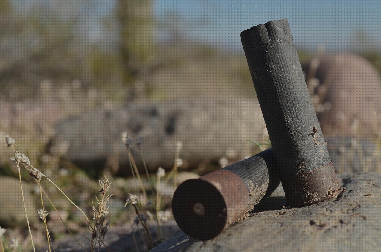 Opiniones de balas bala escopeta calibre 20