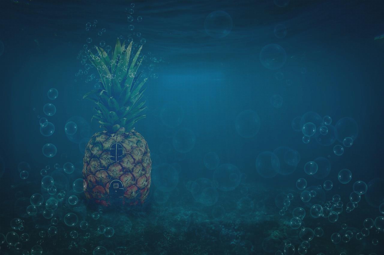 Las mejores marcas de bob esponja escopeta