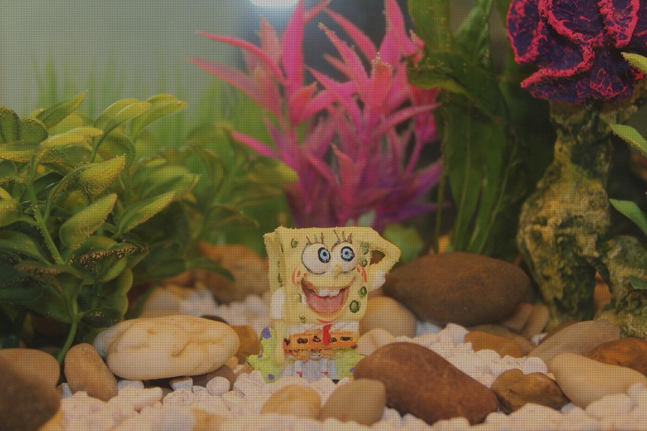 Las mejores bob esponja escopeta