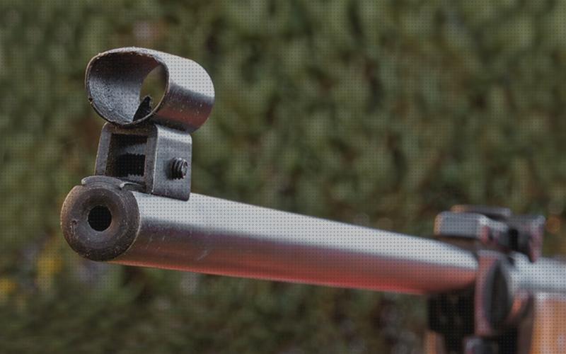 Las mejores cañon estriado pistola gamo cañon de rifle aire comprimido