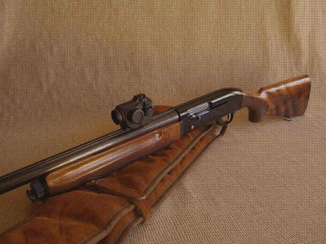 Las mejores marcas de rail picatinny pistola gamo pt 80 carril picatinny escopeta