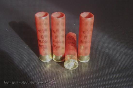 TOP 29 cartuchos calibres 36 escopetas