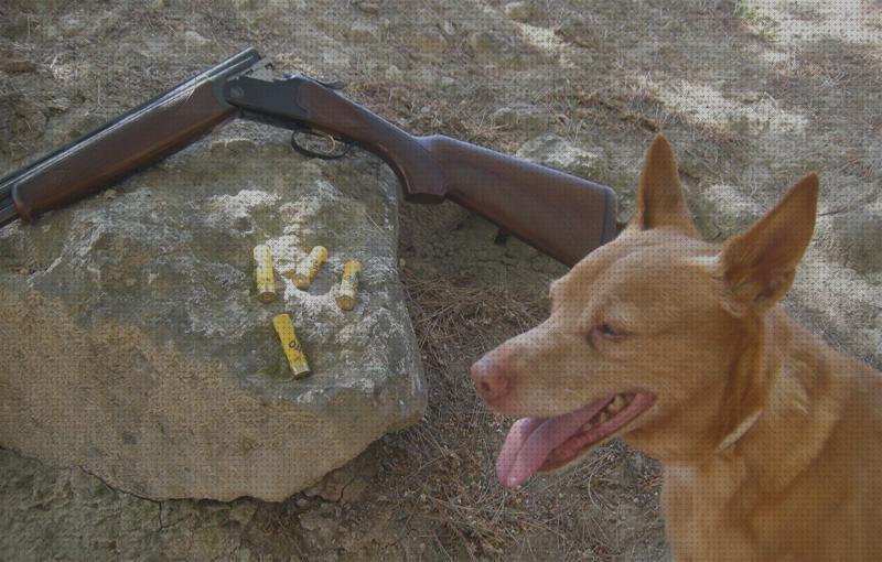 Las mejores marcas de cartuchos escopeta calibre 14 cartuchos cartuchos de escopeta calibre 20