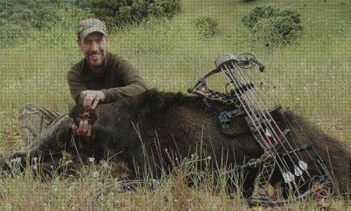 Las mejores caza pistola aire comprimido caza co arco a babuino