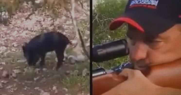 Las mejores marcas de pistola perdigones caza con escopeta de perdigones