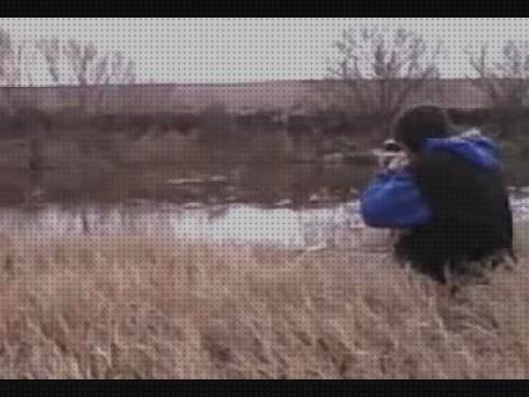 ¿Dónde poder comprar caza con rifle aire comprimido caza pistola aire comprimido caza con rifle de aire gamo?