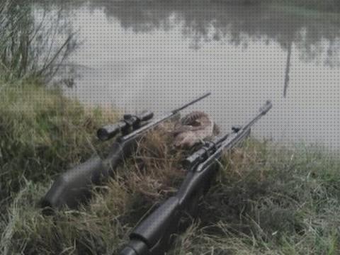 Review de caza con rifle de aire gamo