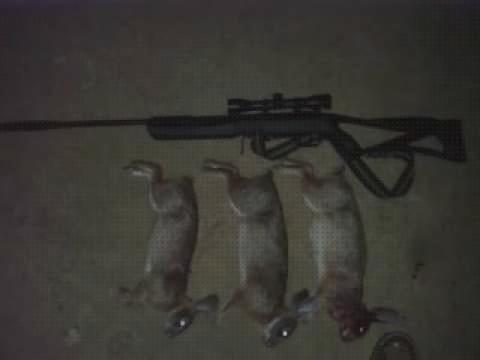 Análisis de las 13 mejores Caza Conejos Rifles Aires