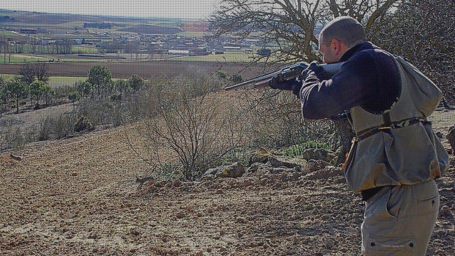 Las mejores marcas de caza conejos rifle aire