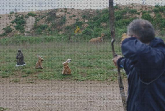 Las mejores caza de animales con arco