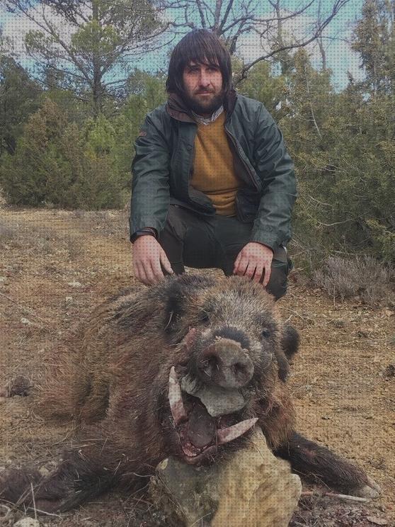 Opiniones de las 14 mejores Caza De Jabali Con Escopetas 12