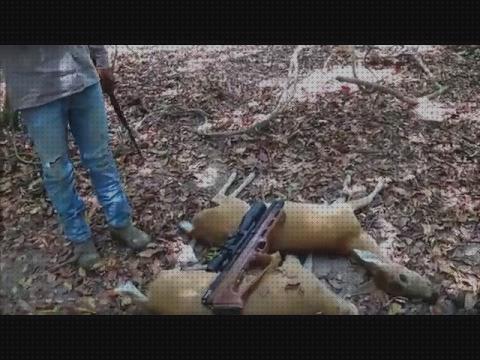 Análisis de las 6 mejores Caza De Venados Con Rifles De Aires