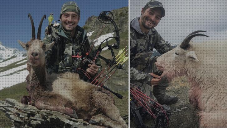 Las 16 Mejores Caza Decabras Con Arcos