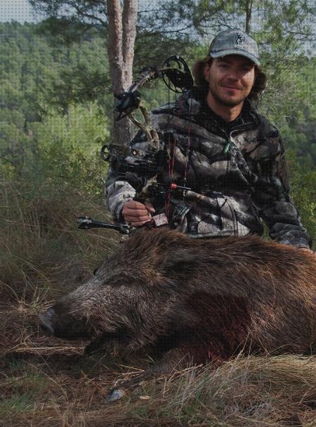 Las mejores caza jabali con arco guadalix de la sierra