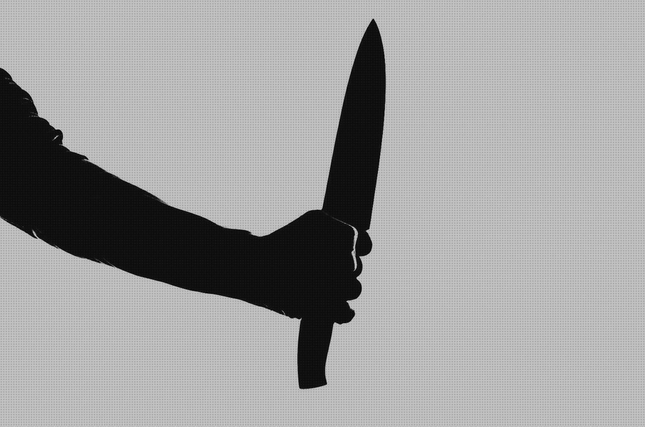 ¿Dónde poder comprar hojas cuchillo largo de caza?