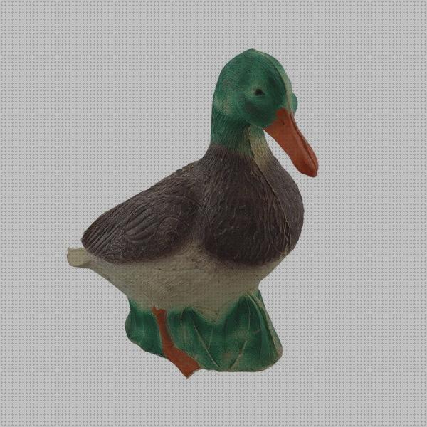 Las 18 Mejores Dianas Animales 3d Tiros Con Arcos