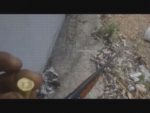 Mejores 26 escopetas 410 remington
