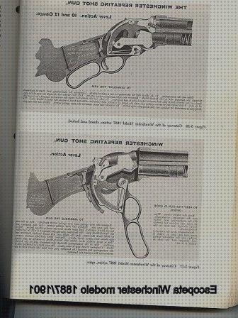 Las mejores 20 Escopetas De Palancas Calibres 12