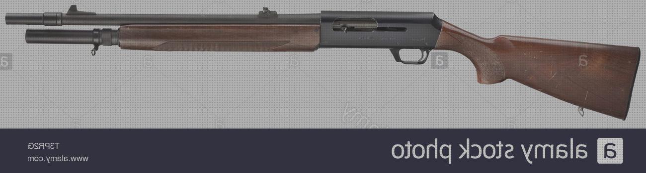 Las 35 Mejores escopetas hk