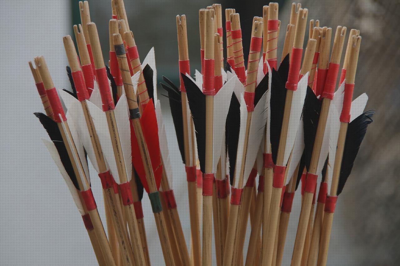Opiniones de las 14 mejores Flechas Tiros Con Arcos Plumas Colores