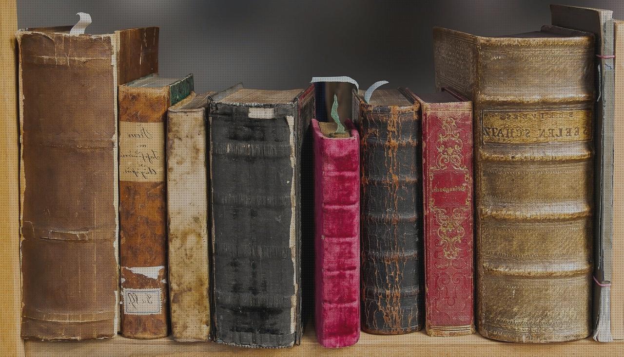 Las 19 Mejores artículos para fundas escopetas cueros bajo análisis