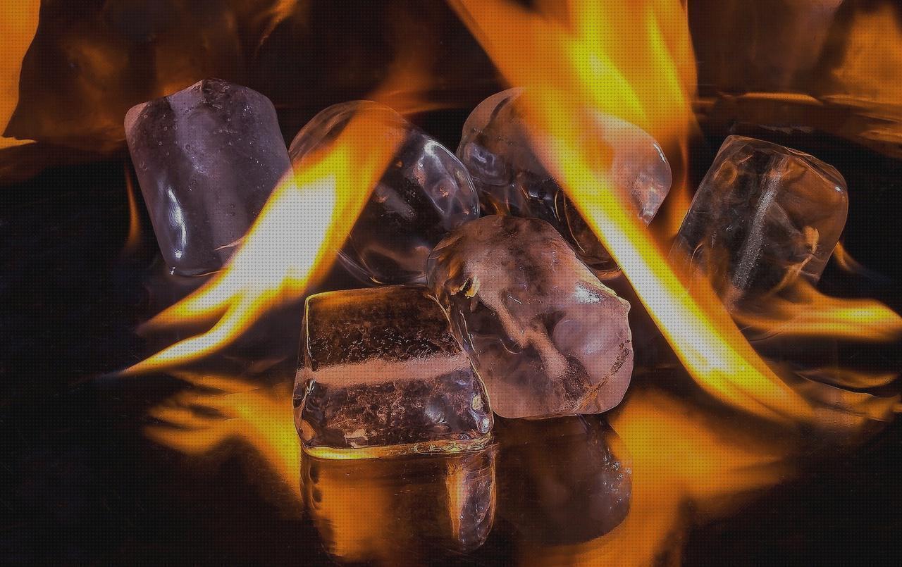 ¿Dónde poder comprar funda escopeta desmontada?