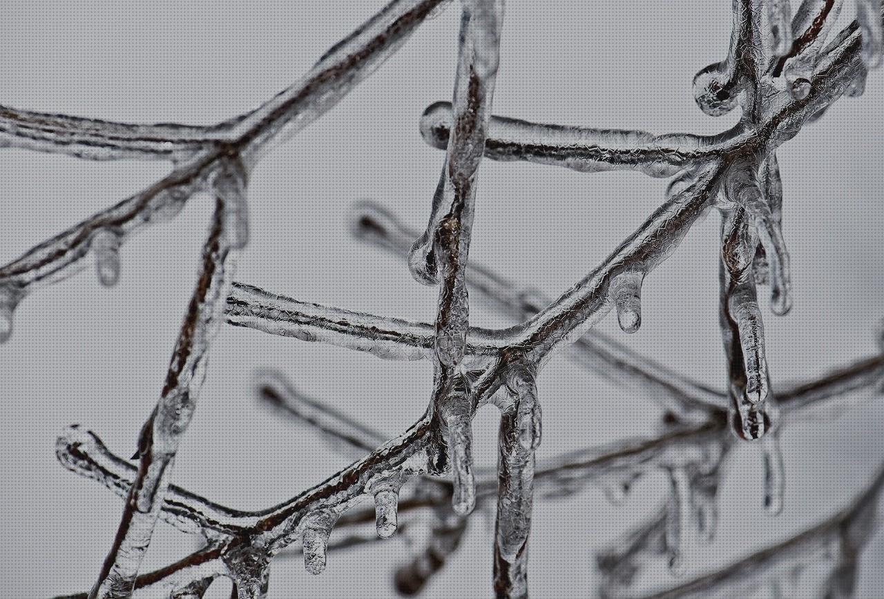 Las mejores marcas de funda escopeta desmontada