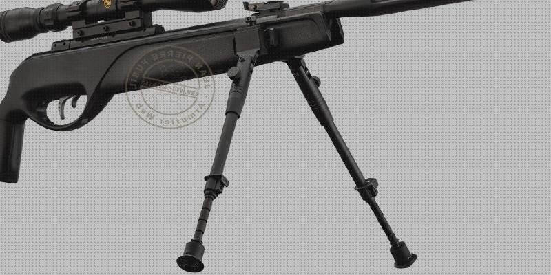 Opiniones de los 32 mejores Gamos Air Rifles Picatinny Railes
