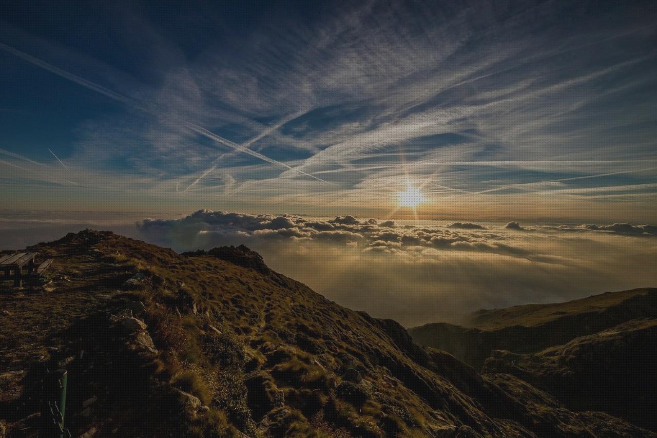 Las mejores marcas de gamos gamo v9 pistola