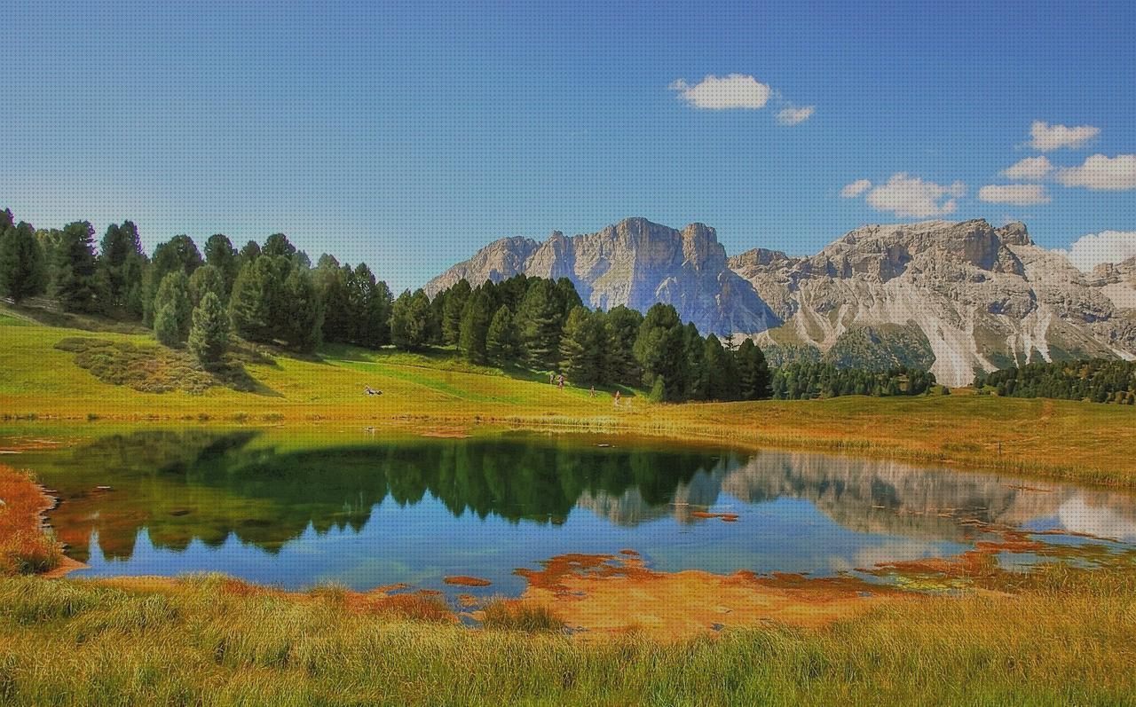 Las mejores gamos gamo v9 pistola