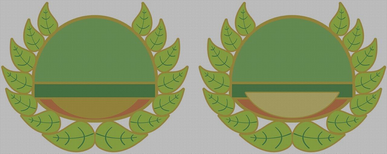 Review de insignias y distintivos militares