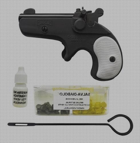TOP 20 rifles mendoza