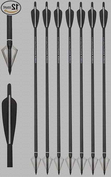 Review de perno arco y flechas