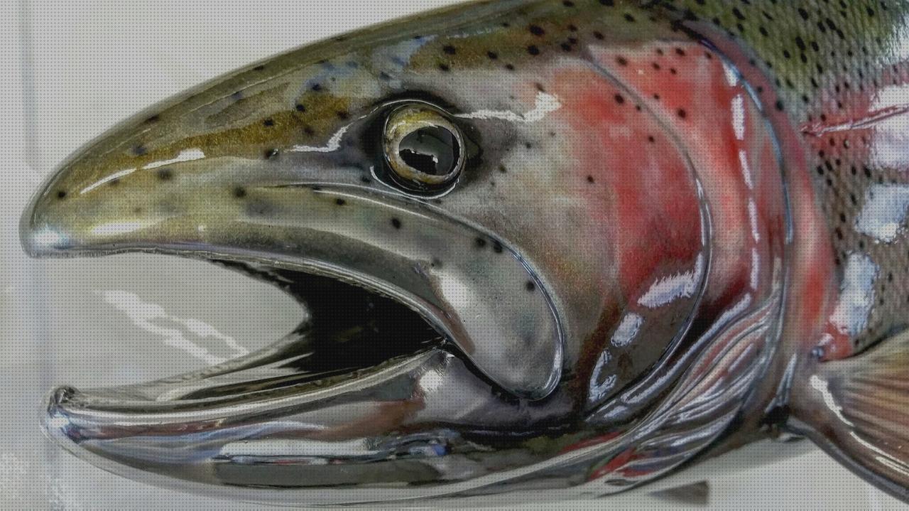 Las mejores marcas de pesca con pistola de aire pesca con arco y flecha