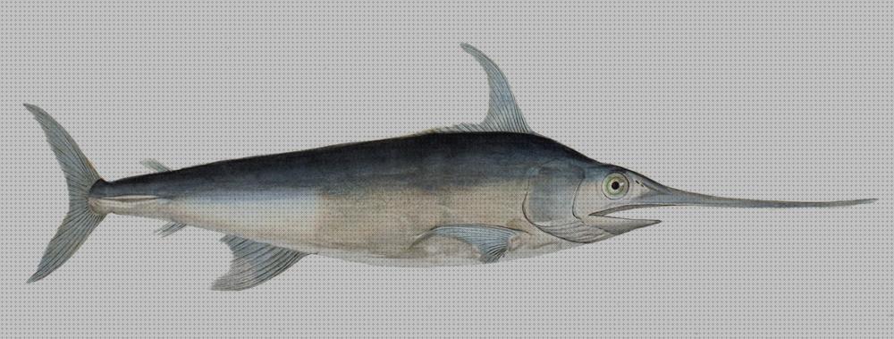 TOP 16 peces espadas