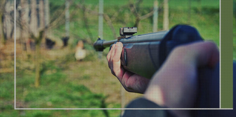 Opiniones de las 31 mejores Pistolas Aires Tiros Precisiones Plinking