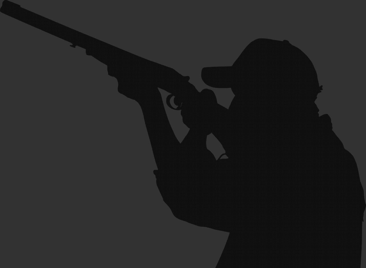 ¿Dónde poder comprar pistola balines pistola caza balines?
