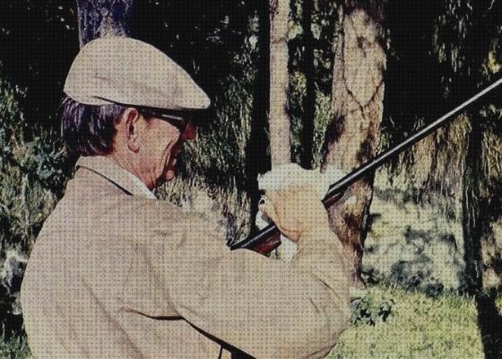 Las mejores perdigones pistola perdigones ahuyentar aves