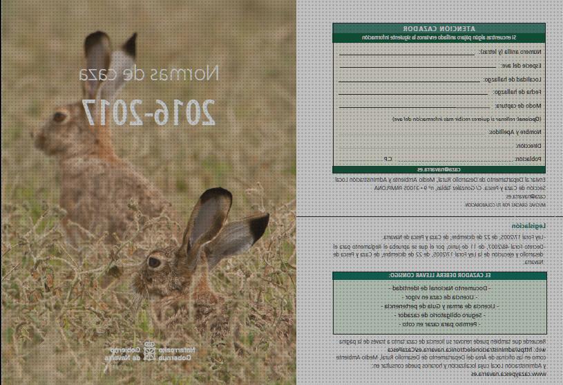 Review de pistola perdigones ahuyentar aves