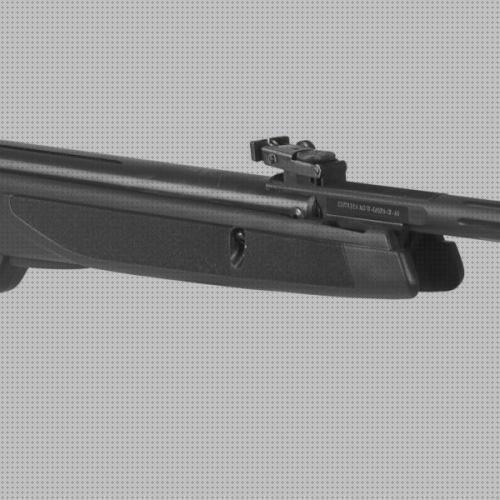 Review de rifle aire comprimido gamo5 5